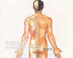 陽谷穴位
