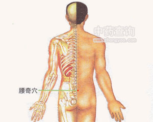 腰奇穴位