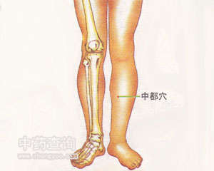 中瀆穴位